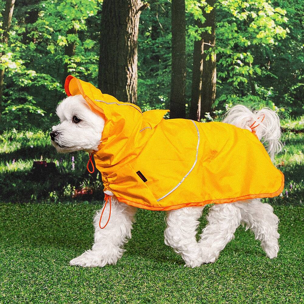 RAINLITE PONCHO / YELLOW - 7