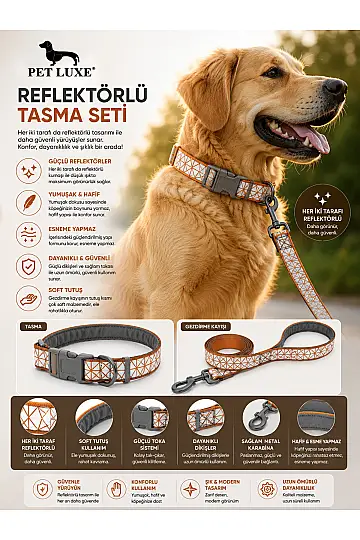 Turuncu Reflektörlü Ayarlanabilir Köpek Boyun Tasma Seti – Esneme Yapmaz, Güvenli Kilit