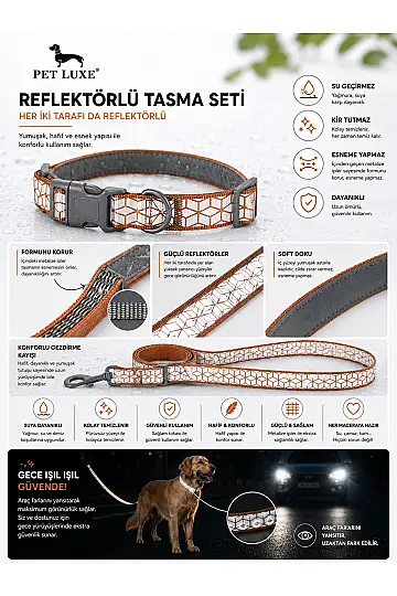 Turuncu Reflektörlü Ayarlanabilir Köpek Boyun Tasma Seti – Esneme Yapmaz, Güvenli Kilit - 2