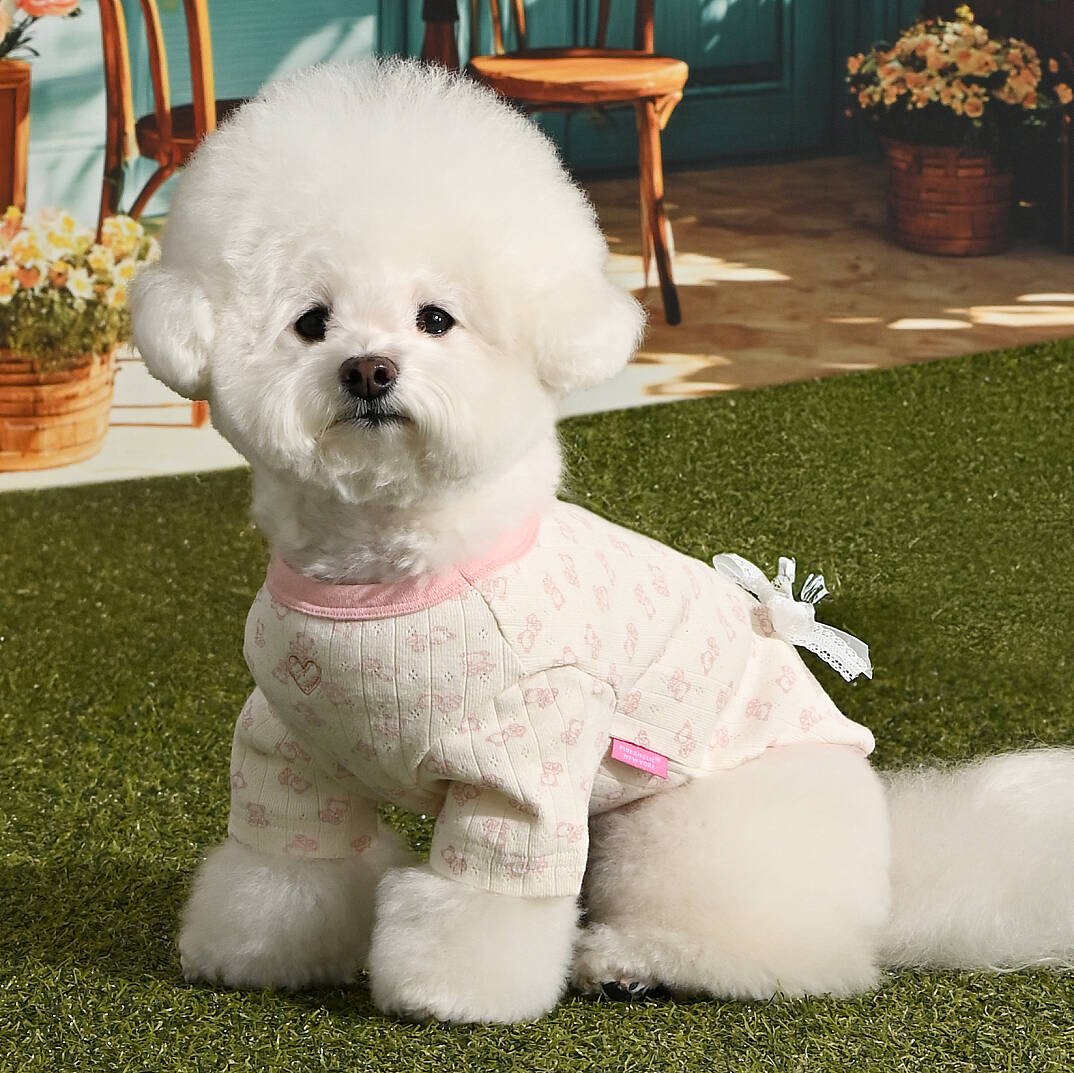 RIBBONY / PINK - 6