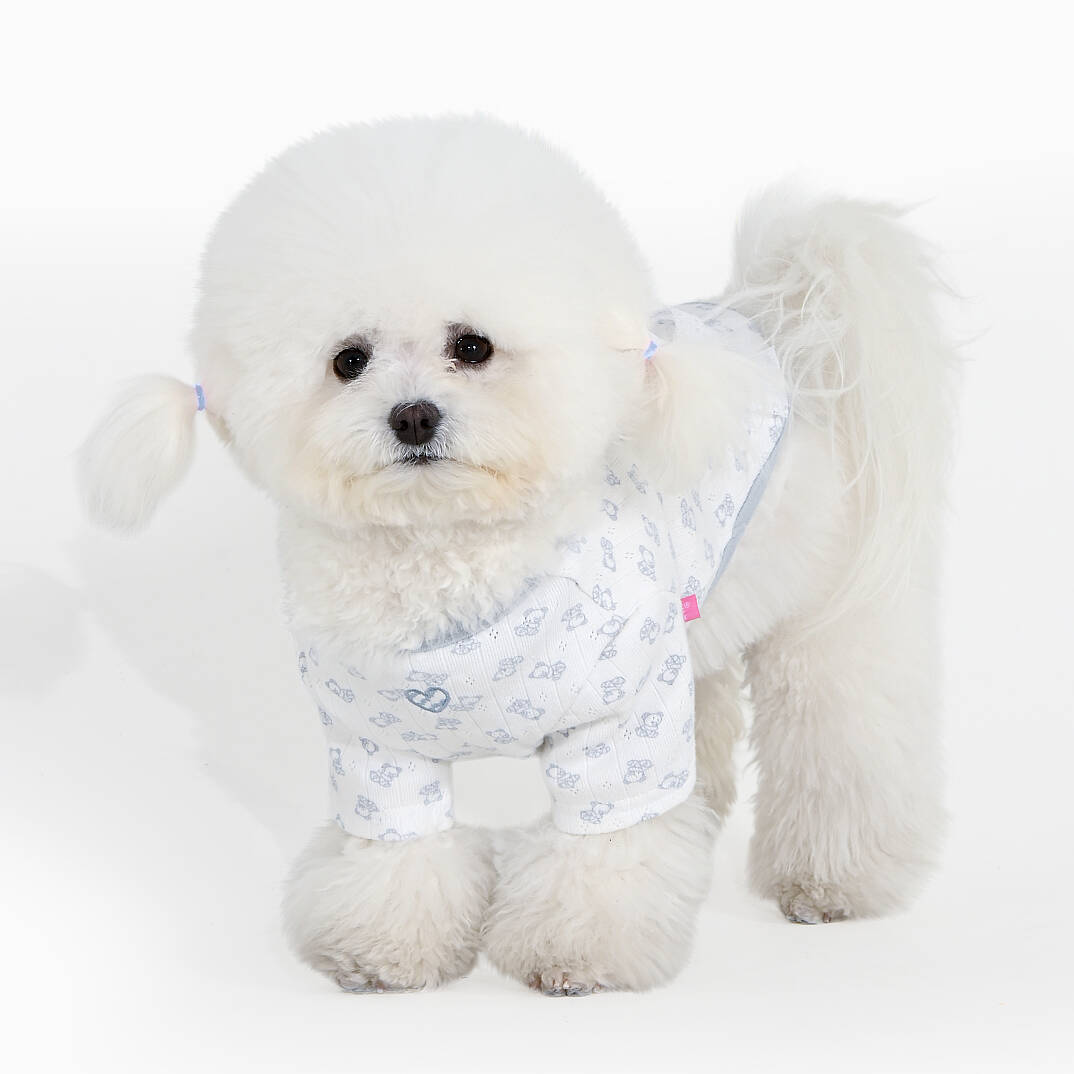 RIBBONY / SKY BLUE - 4