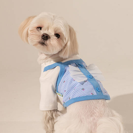 RIBON LAYERD PATTERN / SKY BLUE - 4