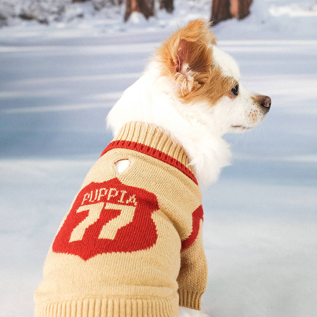 ROUTE 77 KNIT CARDIGAN / BEIGE - 4