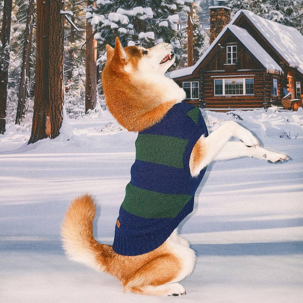 RUGBY STRIPE KNITWEAR / NAVY - 4