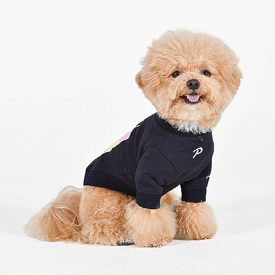 RYDER/NAVY - 4