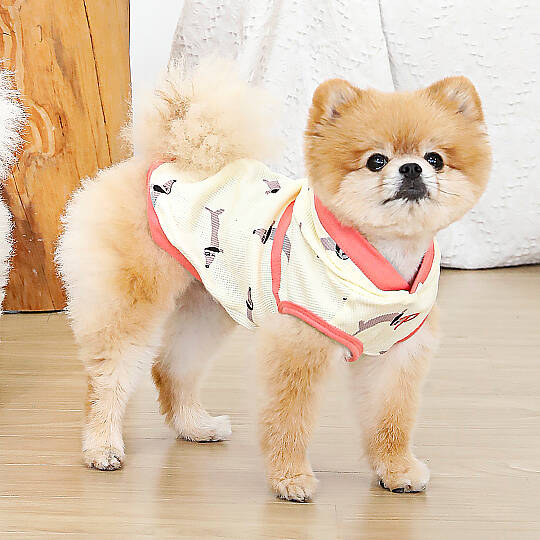 SAMMY / YELLOW - 7