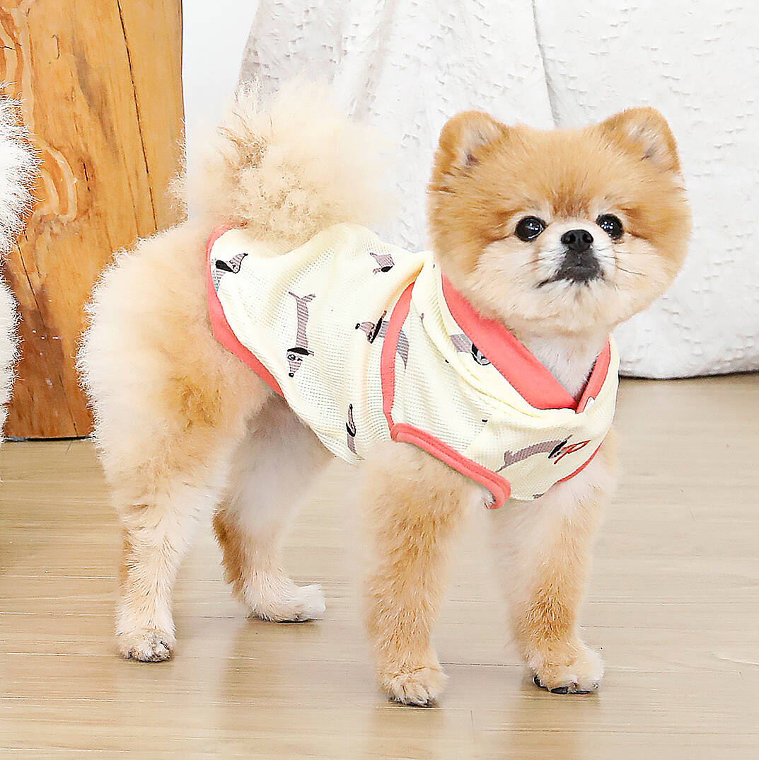 SAMMY / YELLOW - 7