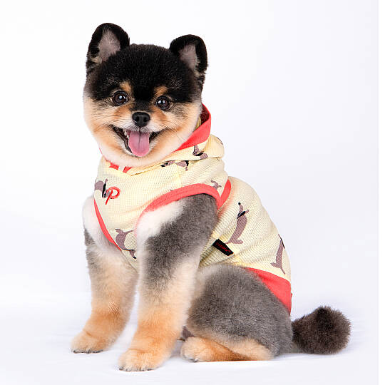 SAMMY / YELLOW - 9