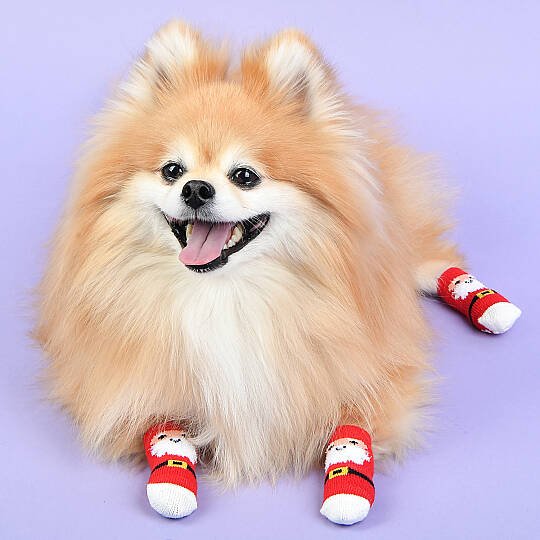 Santa Claus/RED - 2