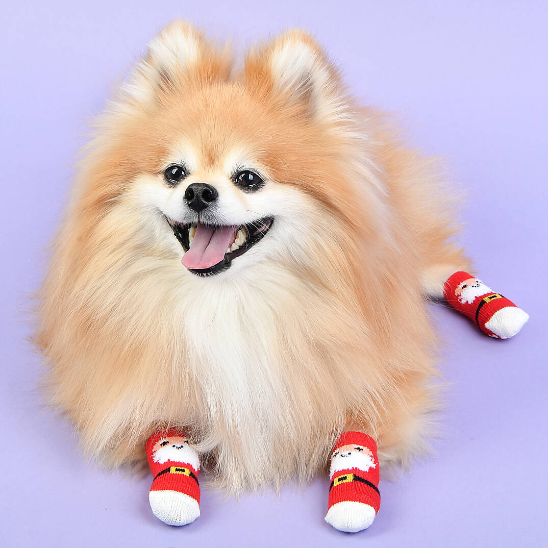 Santa Claus/RED - 2
