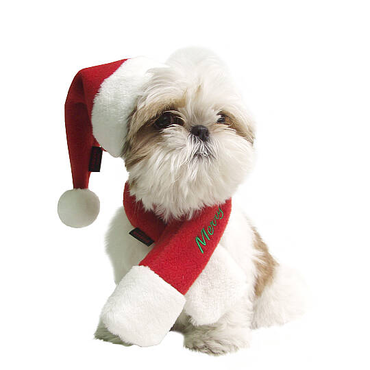 SANTA HAT / CHECK RED - 2