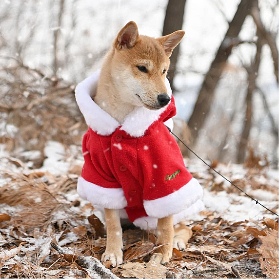 SANTA COAT / RED - 5