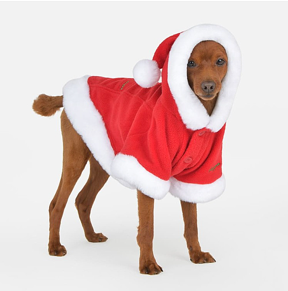 SANTA COAT / RED - 6