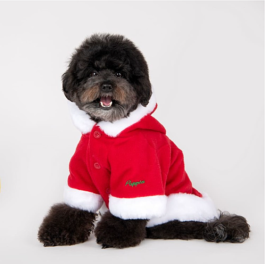 SANTA COAT / RED - 7