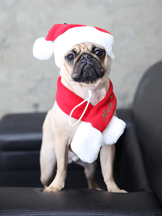 SANTA SCARF / RED - 5