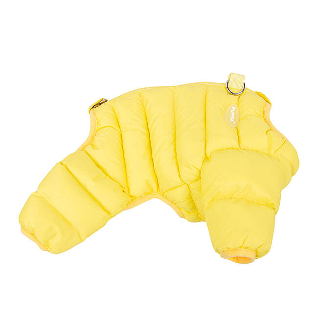 SERAPHINA/YELLOW - 5