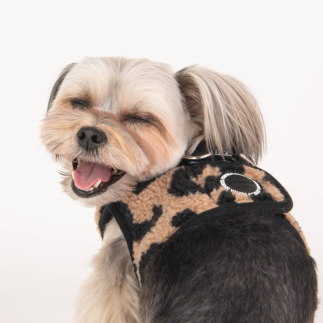 SERVAL HARNESS B/BEIGE/PAVD-HB1930-BE - 7