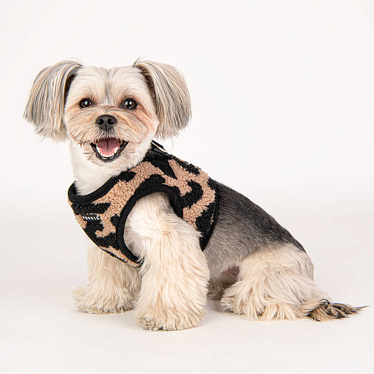 SERVAL HARNESS B/BEIGE/PAVD-HB1930-BE - 8