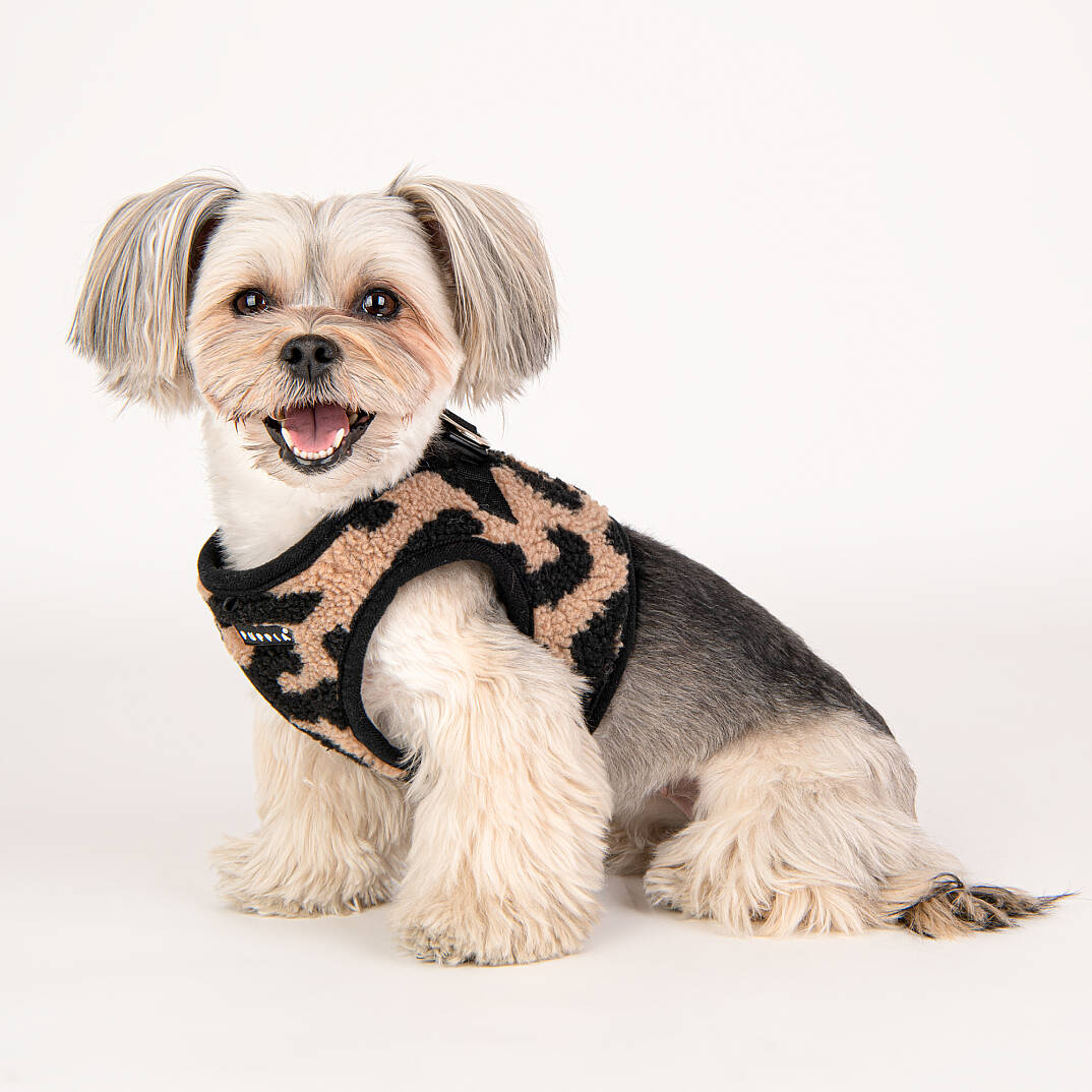 SERVAL HARNESS B/BEIGE/PAVD-HB1930-BE - 8