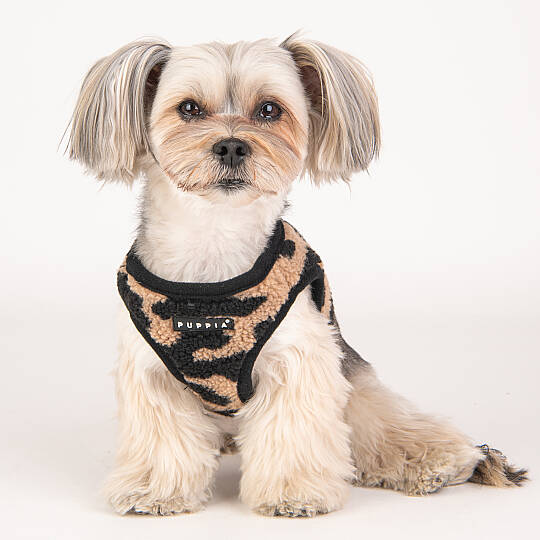 SERVAL HARNESS B/BEIGE/PAVD-HB1930-BE - 9
