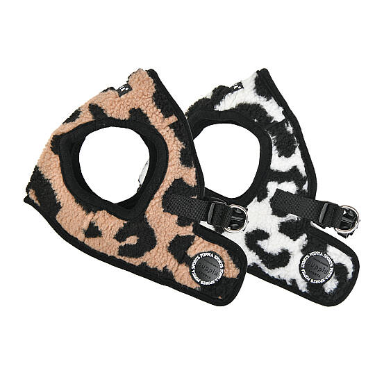 SERVAL HARNESS B/BLACK/PAVD-HB1930-BK - 10