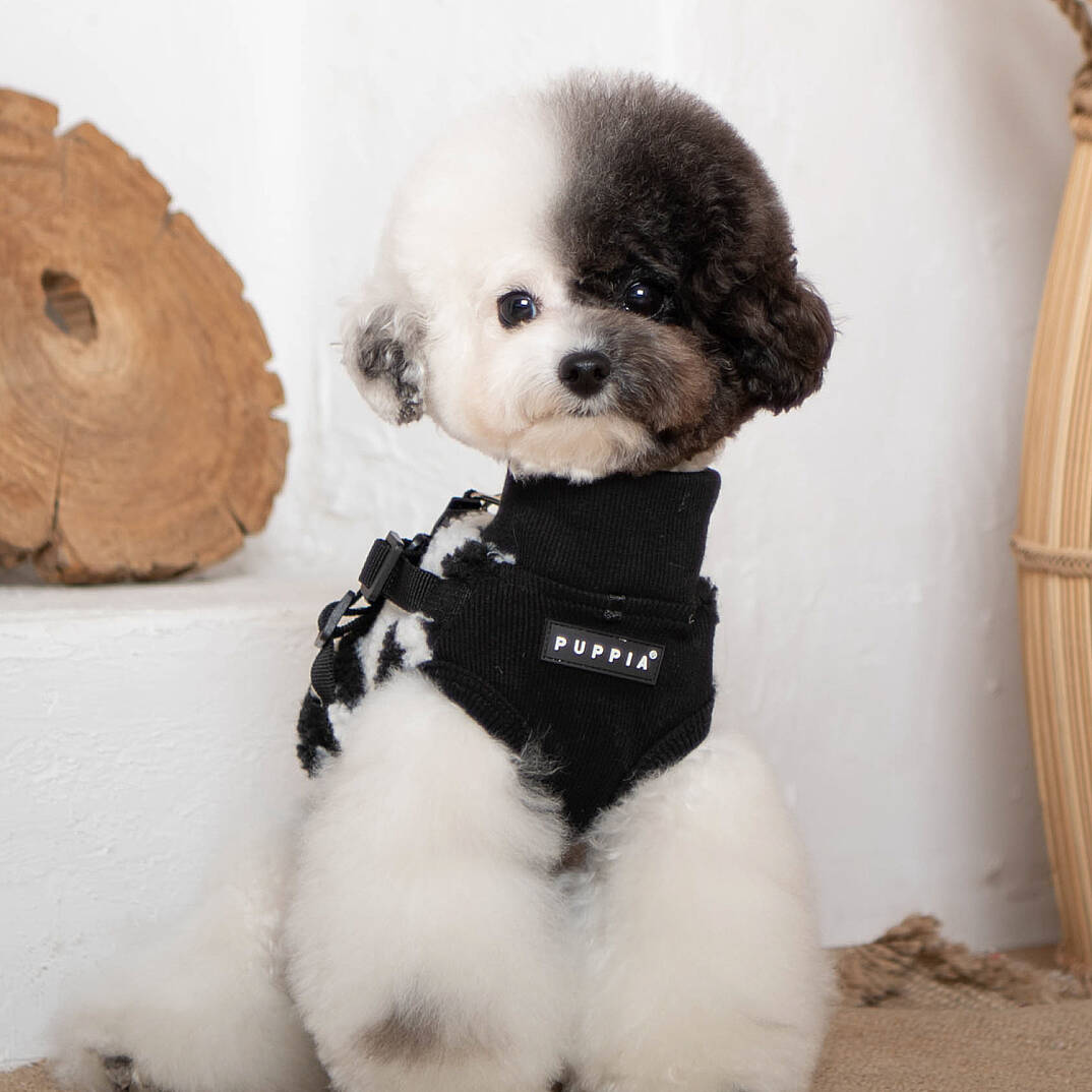 SERVAL HARNESS J/BLACK/PAVD-HJ1930-BK - 7