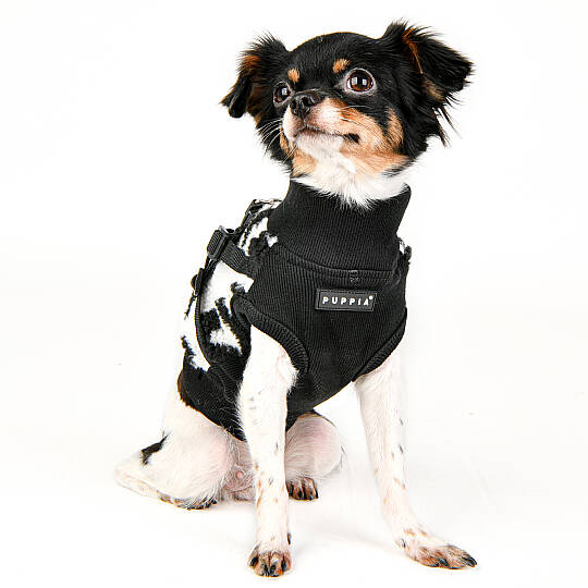 SERVAL HARNESS J/BLACK/PAVD-HJ1930-BK - 9