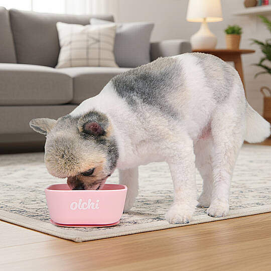 SILICONE BOWL/PINK - 4