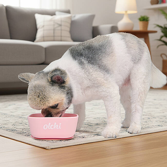 SILICONE BOWL/PINK - 4
