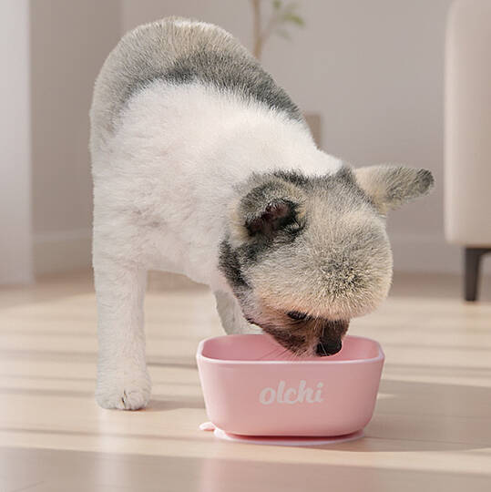 SILICONE BOWL/PINK - 5