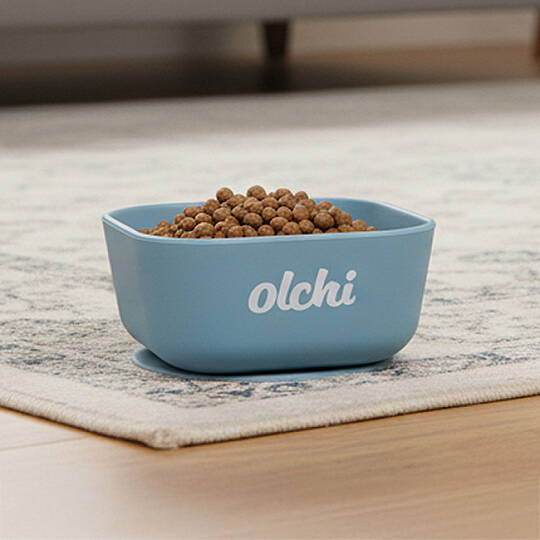 SILICONE BOWL/SKY BLUE - 3
