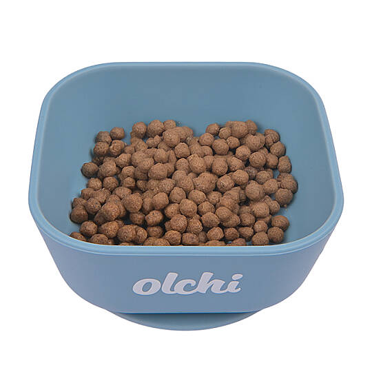 SILICONE BOWL/SKY BLUE - 4