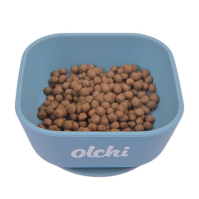 SILICONE BOWL/SKY BLUE - 4