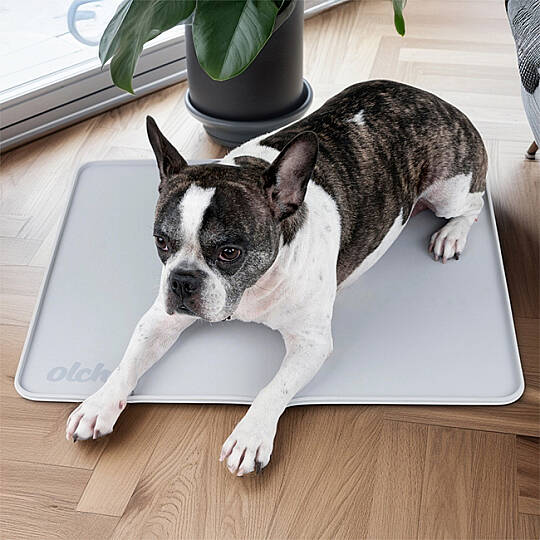 SİLİCONE NON-SLİP POTTY MAT/GREY - 5
