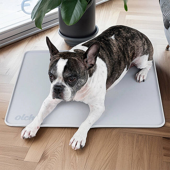 SİLİCONE NON-SLİP POTTY MAT/GREY - 5