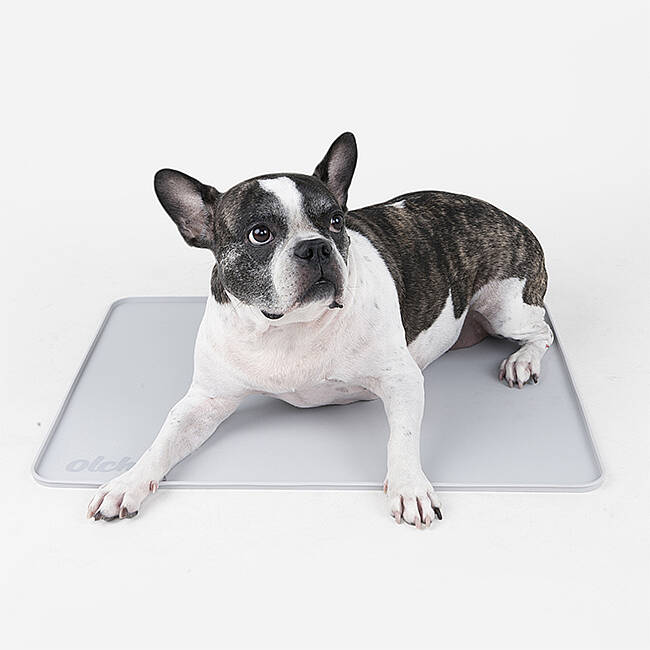 SİLİCONE NON-SLİP POTTY MAT/GREY - 4