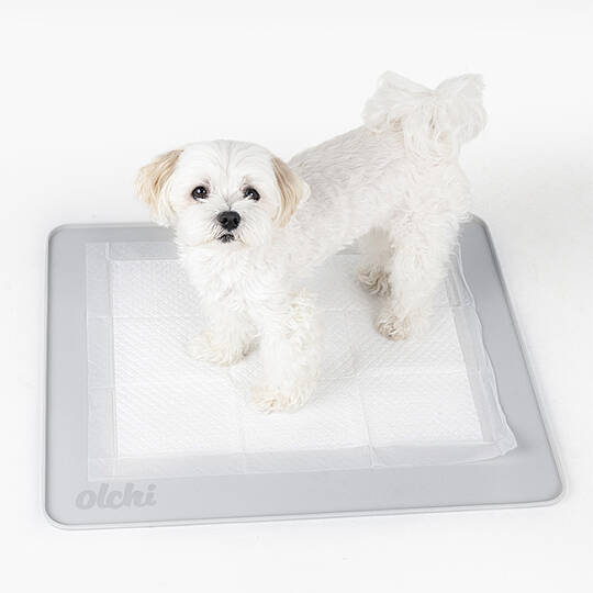 SİLİCONE NON-SLİP POTTY MAT/GREY - 3