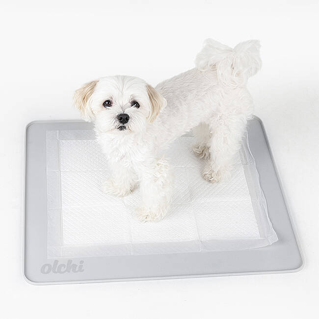 SİLİCONE NON-SLİP POTTY MAT/GREY - 3