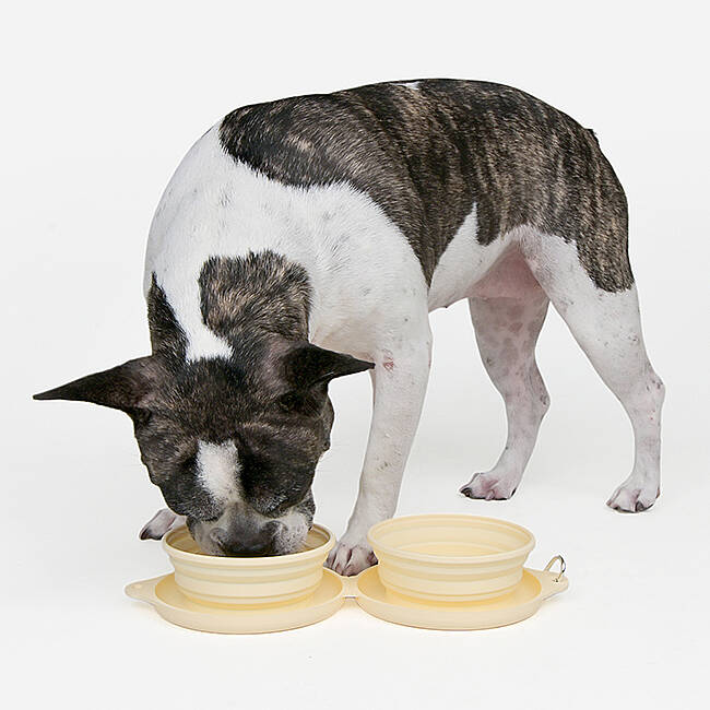 SMILE DUAL BOWL - 7