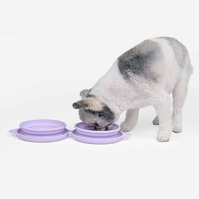 SMILE DUAL BOWL/VIOLET - 6