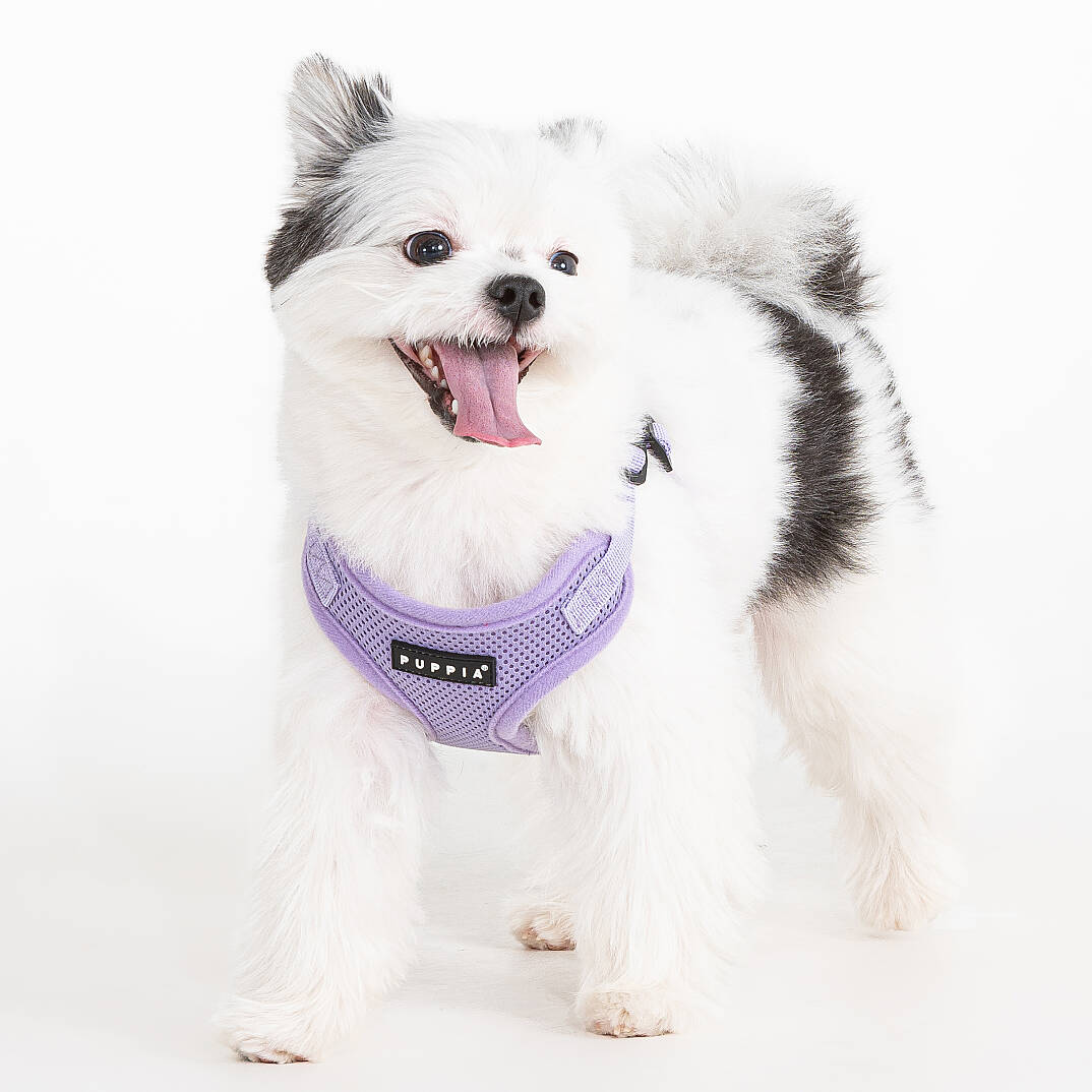 SOFT HARNESS C/VIOLET - 3