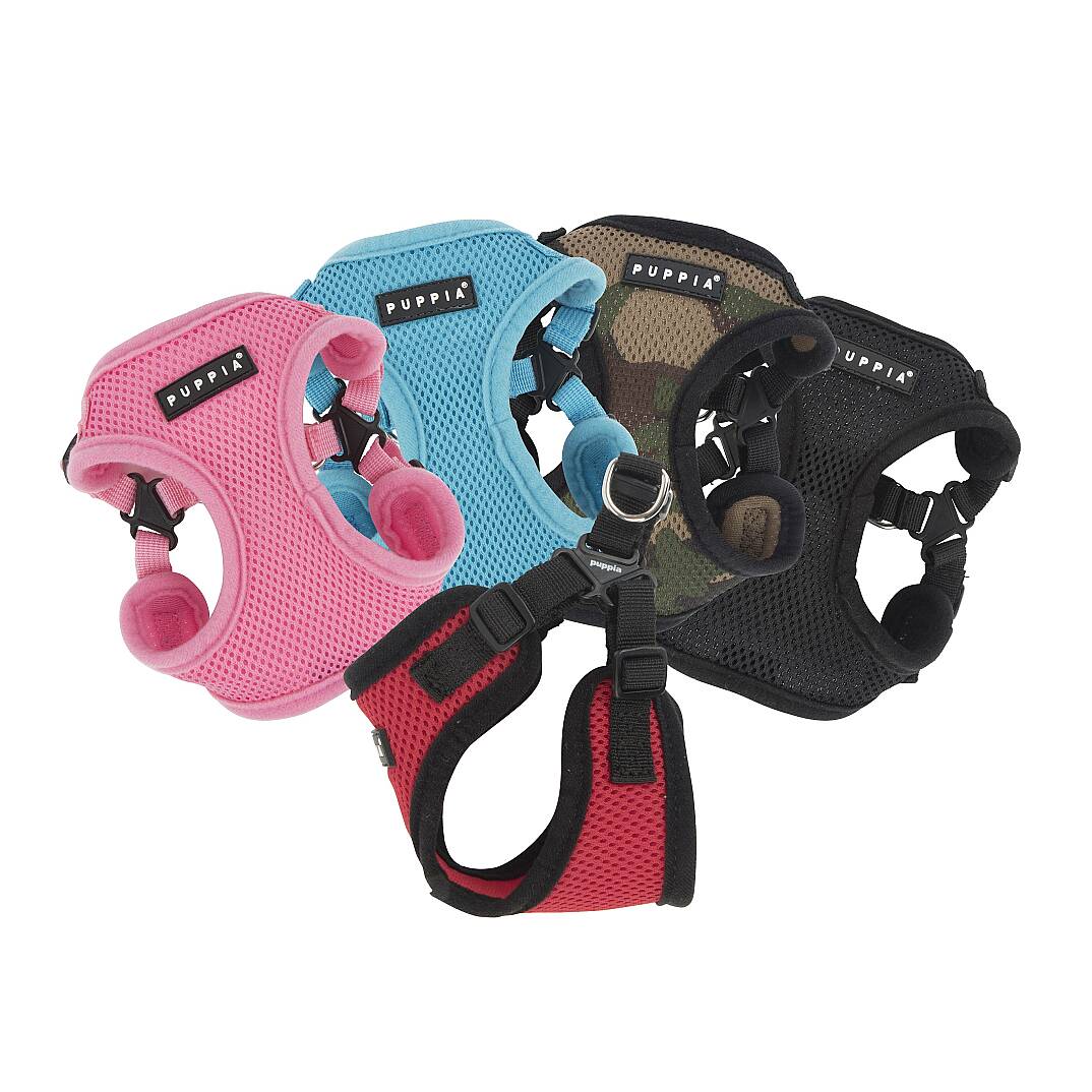 SOFT HARNESS C/VIOLET - 4