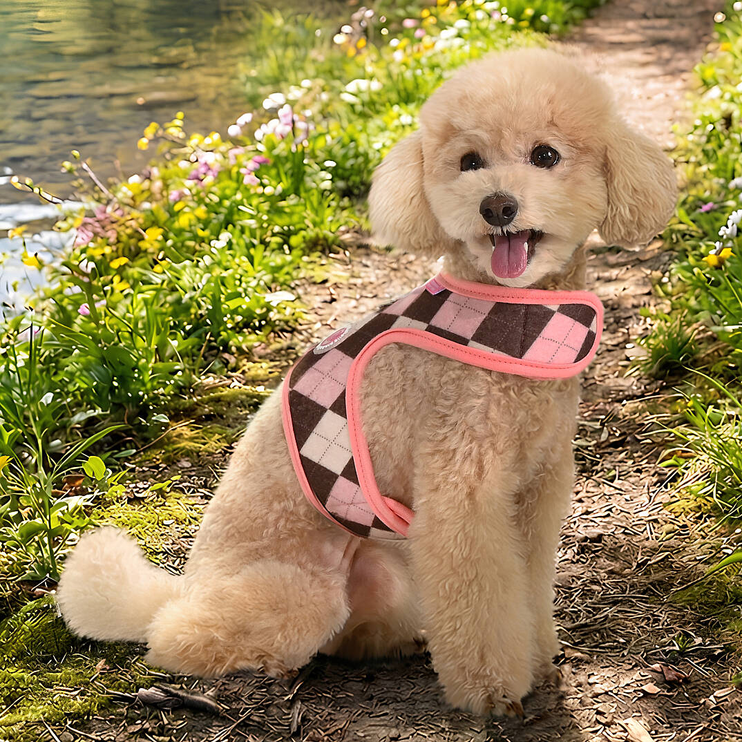 SOLENE HARNESS J / INDIAN PINK - 3