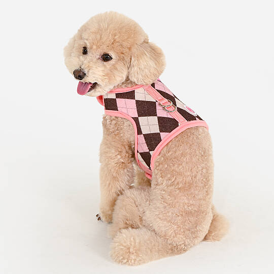 SOLENE HARNESS J / INDIAN PINK - 5