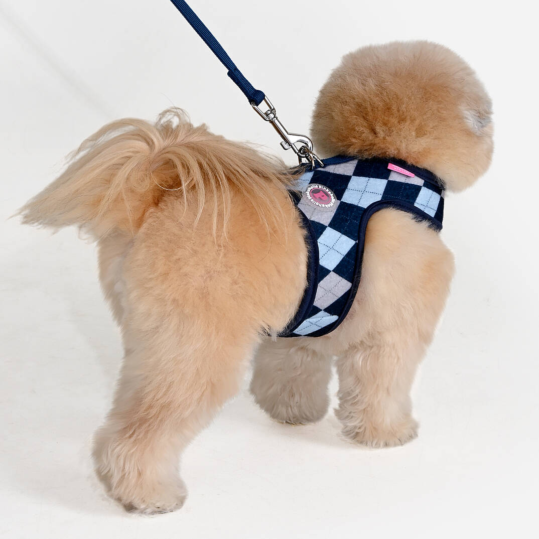 SOLENE HARNESS J / NAVY - 3