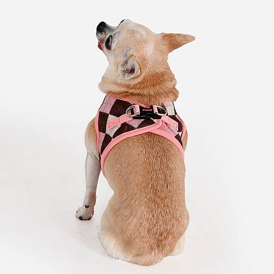 SOLENE VEST HARNESS / INDIAN PINK - 4