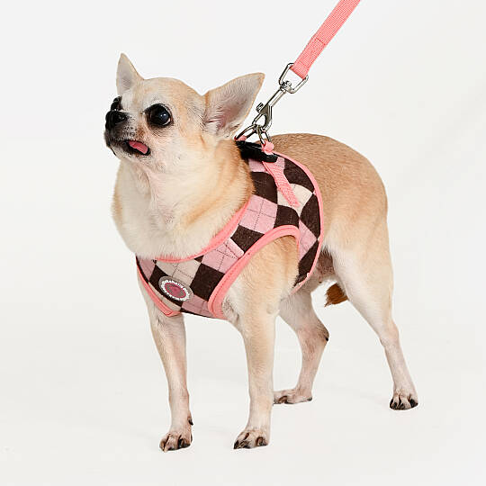 SOLENE VEST HARNESS / INDIAN PINK - 6