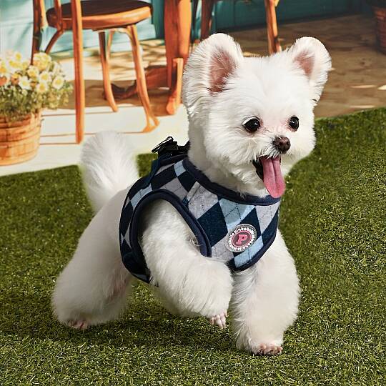 SOLENE VEST HARNESS / NAVY - 8
