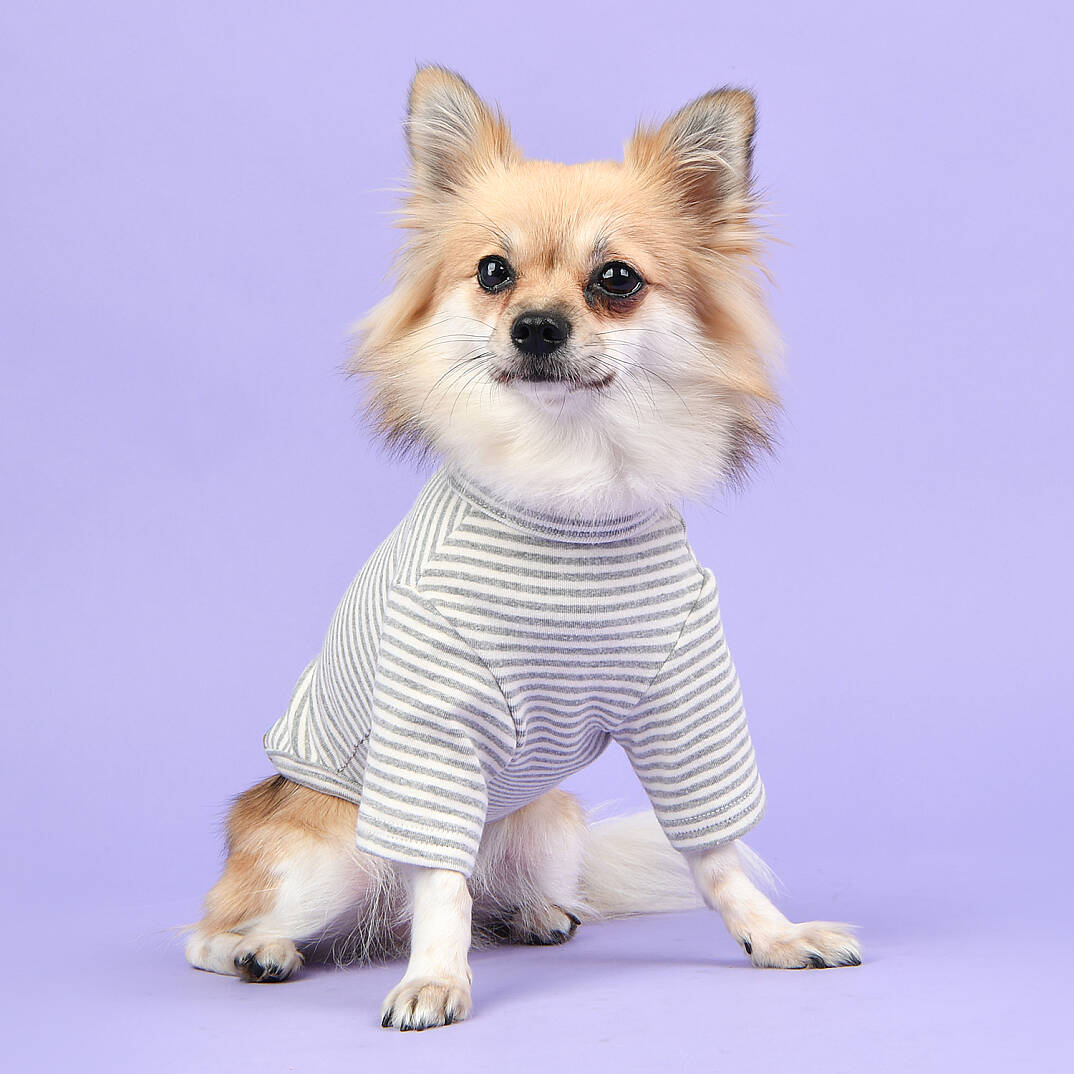 STRIPE ROUND NECK / GREY - 5