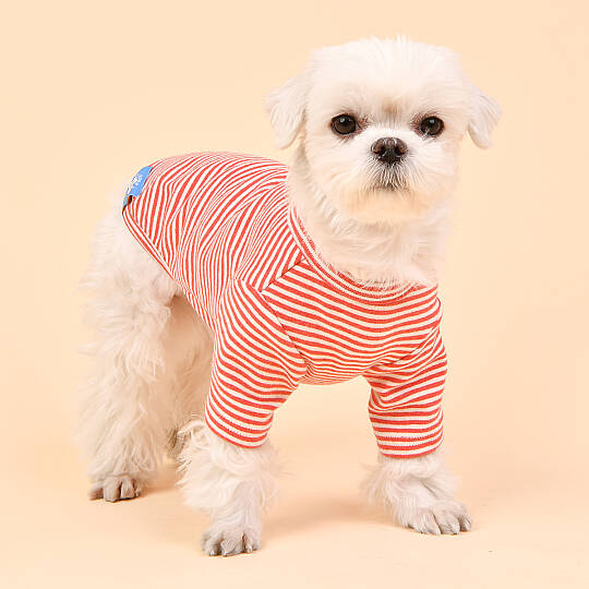 STRIPE ROUND NECK / RED - 5